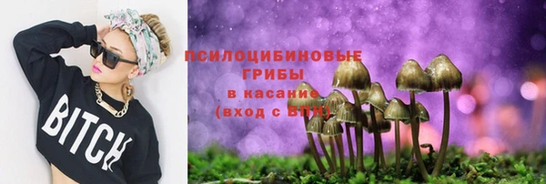 трава Верхний Тагил