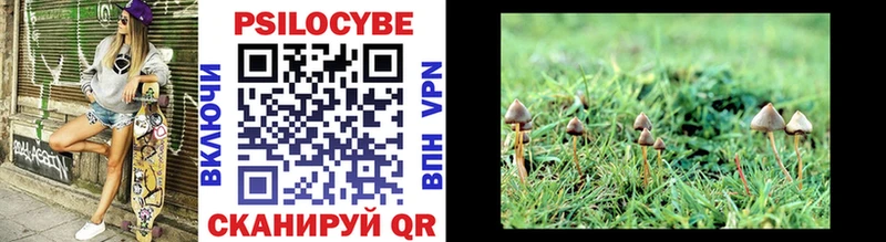 Галлюциногенные грибы Psilocybine cubensis  Мелеуз 